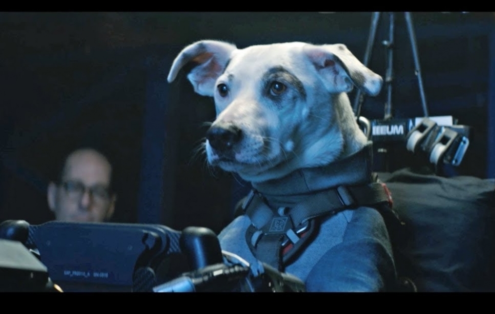 “The Chemical Brothers” qrupu Formula 1 barədə klip çəkdirib