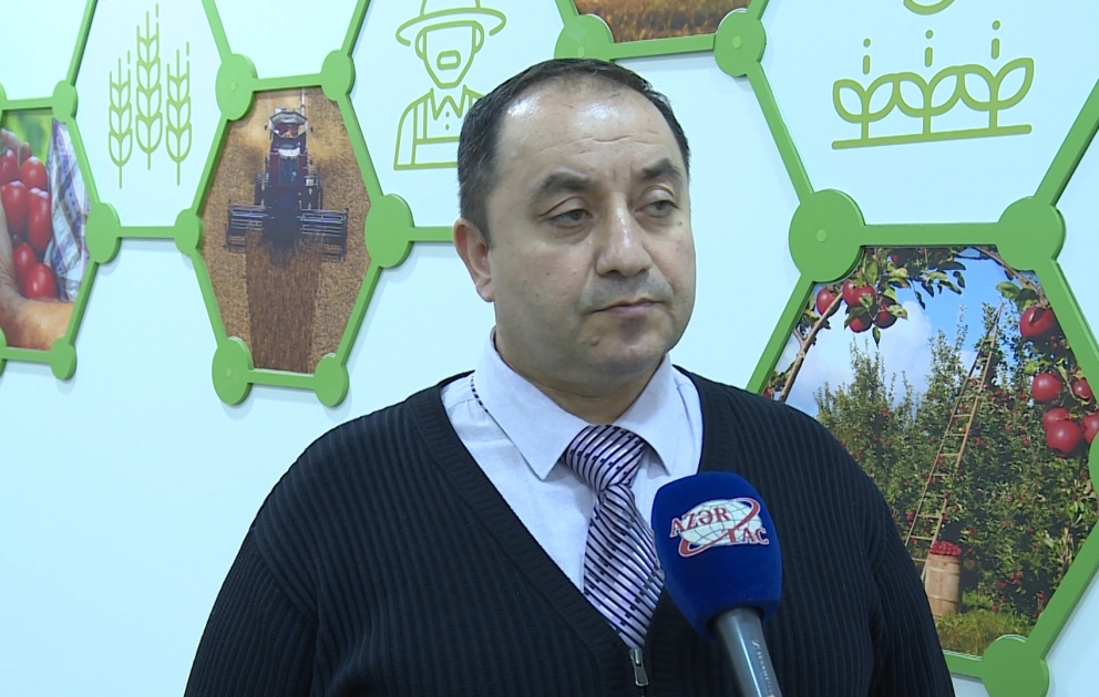 Ölkəmizdə meyvə məhsullarına olan tələbat əsasən yerli istehsal hesabına ödənir