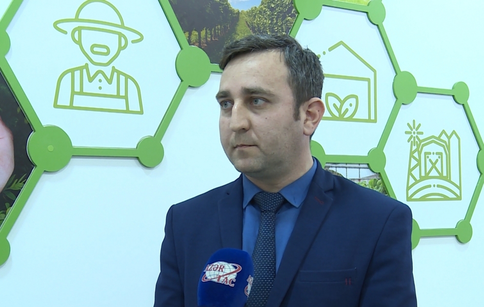 Ət və süd məhsullarına olan tələbat daxili istehsal hesabına ödənir
