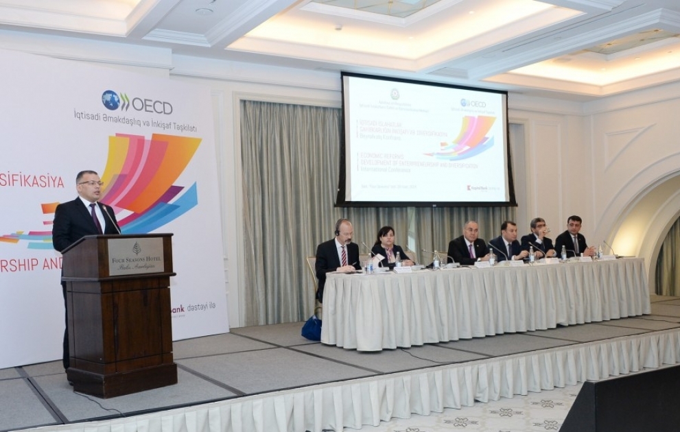 Avrasiya regionu və OECD ölkələri arasında əlaqələrin möhkəmləndirilməsi müzakirə olunub