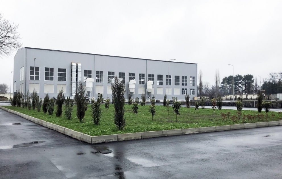 Xaçmazda Dövlət Toxum Fondunun emal zavodu tikilib