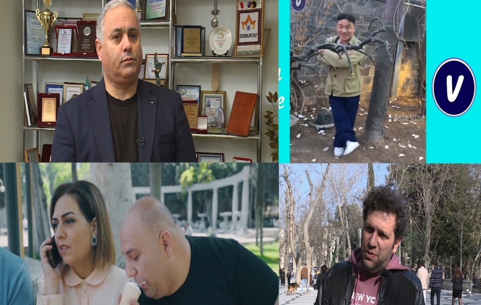 “Vayn” incəsənətdir yoxsa biznes?