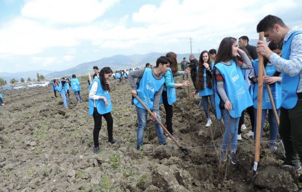 Ağsu rayonunda aztəminatlı ailələr üçün meyvə bağları salınıb
