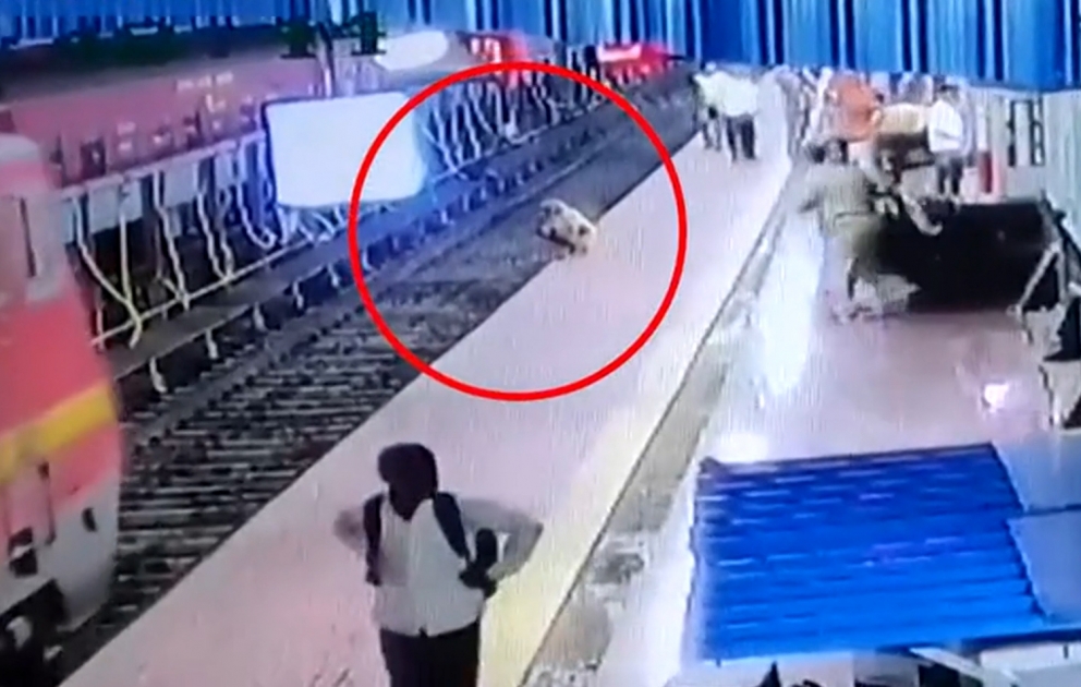 Polis xilas etməsəydi, qatar onu vuracaqdı
