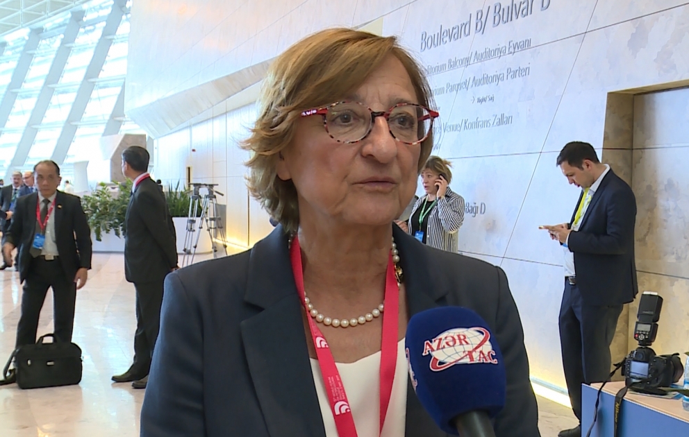 “Bakı Prosesi” mədəniyyətlərarası dialoq sahəsində təcrübəni bölüşmək üçün əvəzsiz platformadır