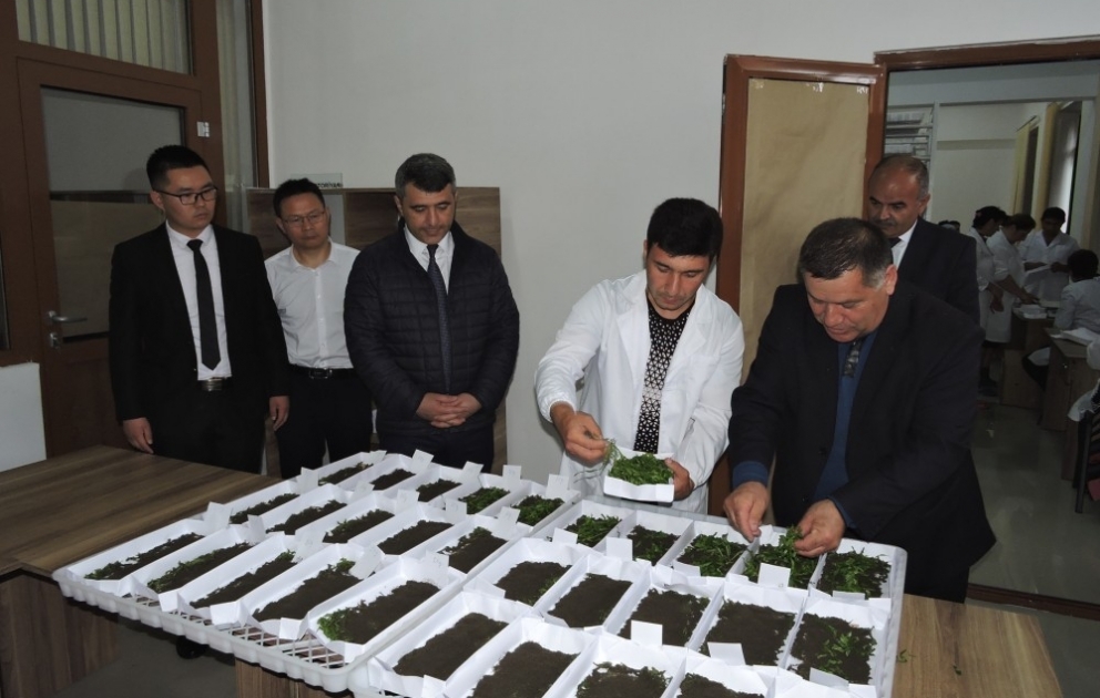 Aran bölgəsinin kümçülərinə ipəkqurdu paylanılıb