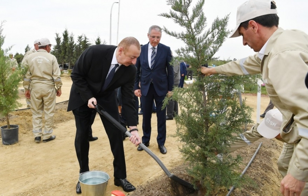 Prezident İlham Əliyev ulu öndər Heydər Əliyevin doğum gününə həsr olunan ağacəkmə aksiyasında iştirak edib