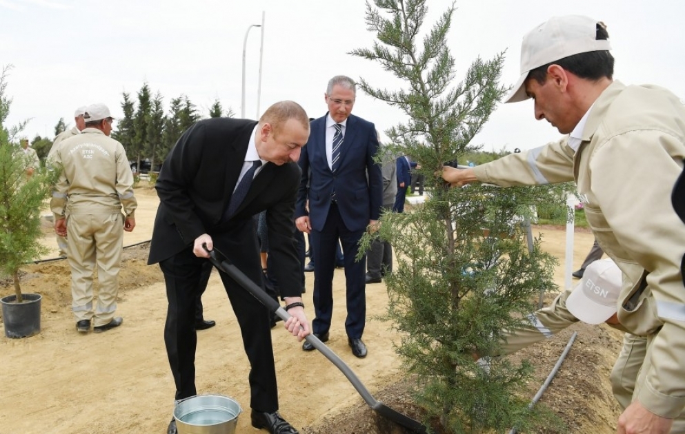 Präsident Ilham Aliyev nimmt an der Aktion für Baumpflanzung