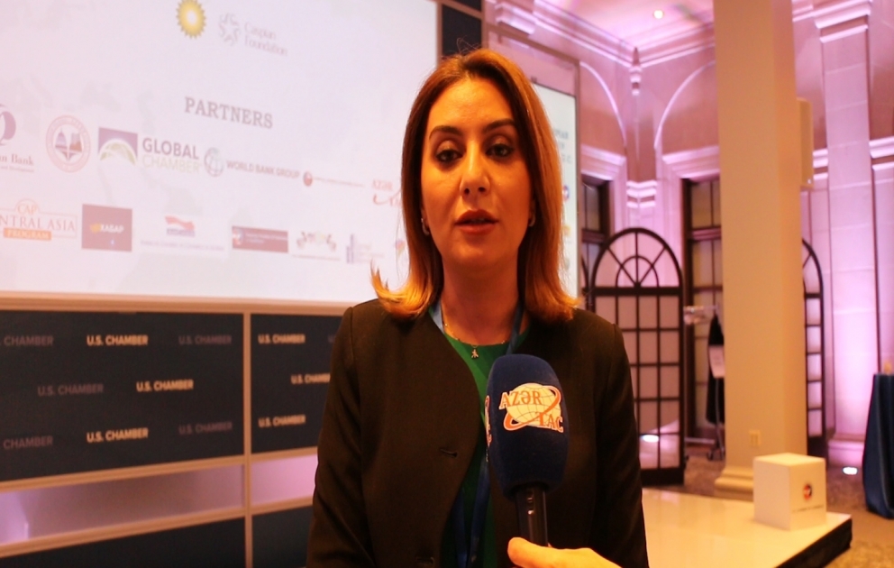 AmCham-ın icraçı direktoru: Azərbaycana birbaşa yatırılan investisiyaların sayı və məbləği artacaq