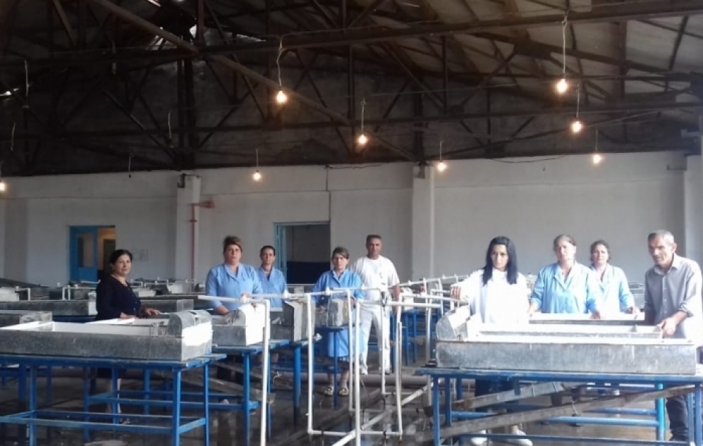Lənkəranda ilin əvvəlindən bəri Xəzər dənizinə 120 milyon körpə balıq buraxılıb REPORTAJ