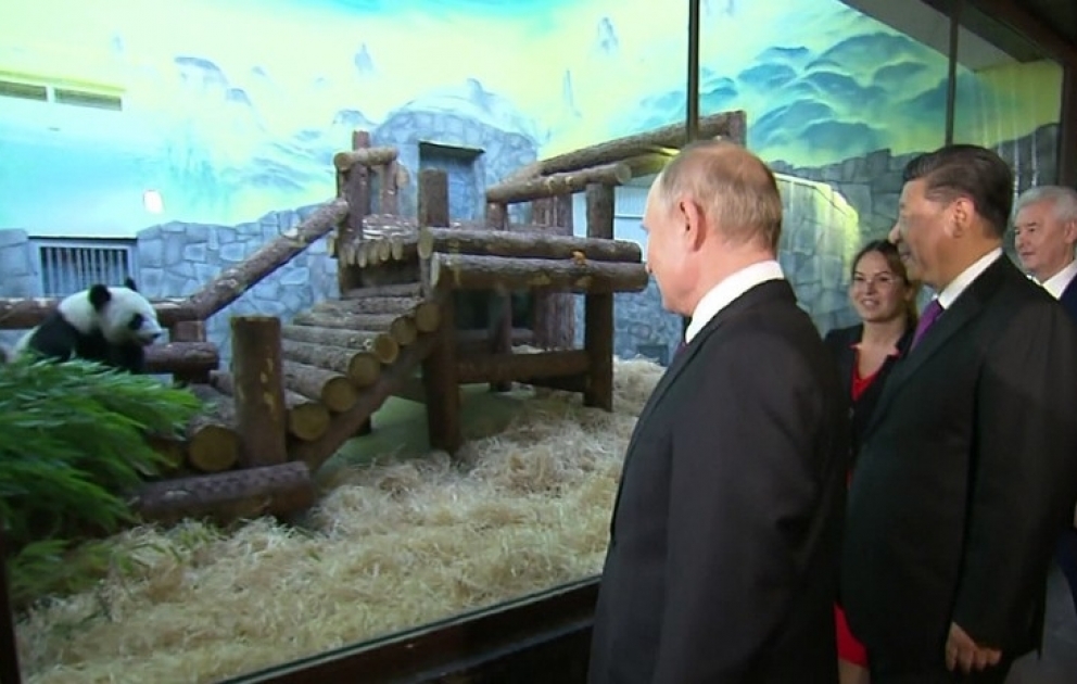 Putin və Si Cinpin Moskva zooparkına pandaların təhvil verilməsi mərasimində iştirak ediblər
