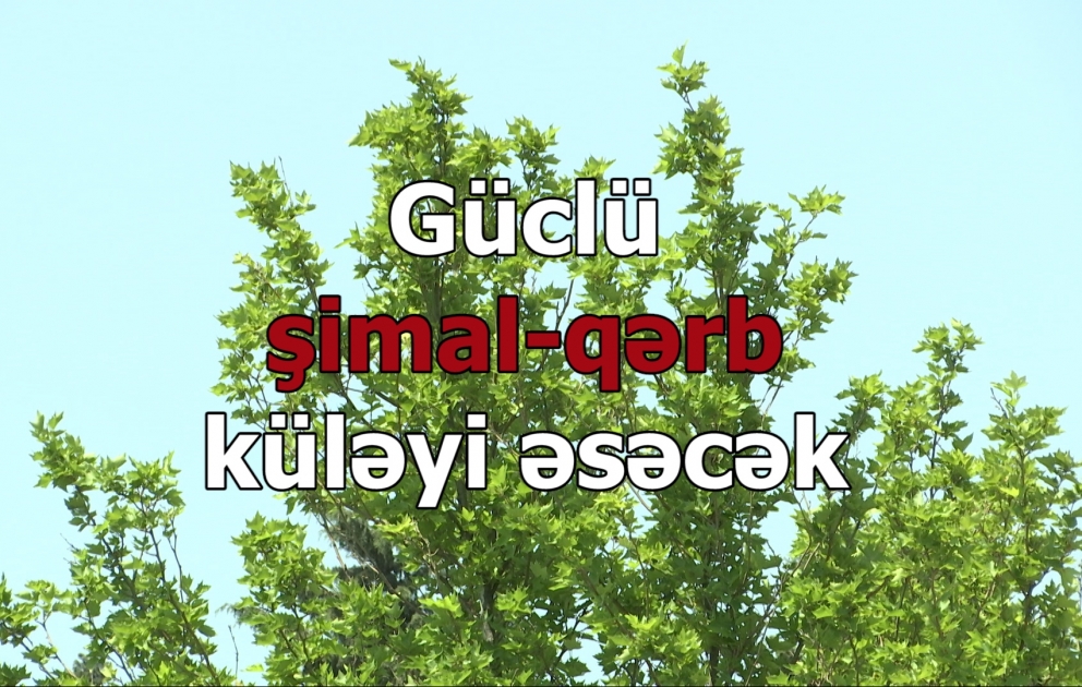 Güclü şimal-qərb küləyi əsəcək