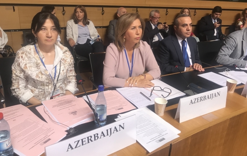 Milli Məclisin nümayəndə heyəti ATƏT Parlament Assambleyasının illik sessiyasının işində iştirak edir