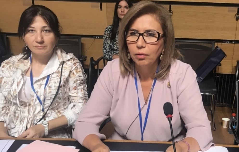 Milli Məclisin nümayəndə heyətinin rəhbəri ATƏT PA-nın sessiyasında çıxış edib