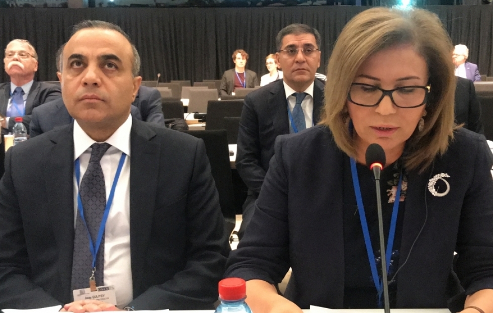 Milli Məclisin vitse-spikeri ATƏT PA-nın yekun plenar iclasında çıxış edib