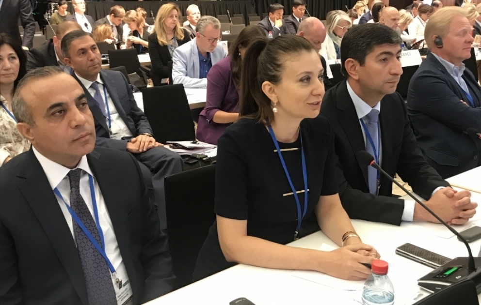 Deputat Ülviyyə Ağayeva ATƏT PA-nın plenar iclasında Ermənistanın humanitar hüquq normalarına zidd hərəkətlərini diqqətə çatdırıb