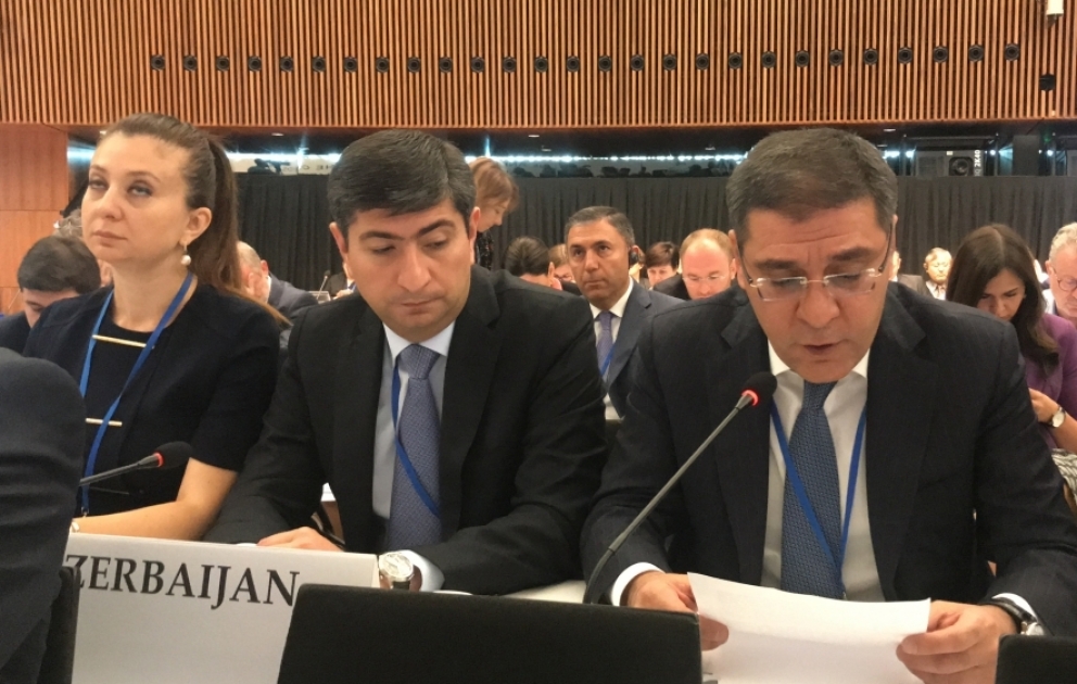Кямран Набизаде на сессии ПА ОБСЕ: Второе армянское государство на Кавказе невозможно
