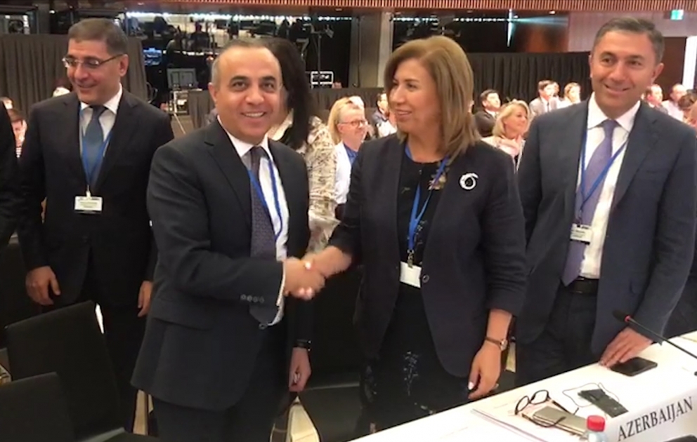Azay Quliyev yenidən və yekdilliklə ATƏT PA-nın 2022-ci ilədək vitse-prezidenti seçilib