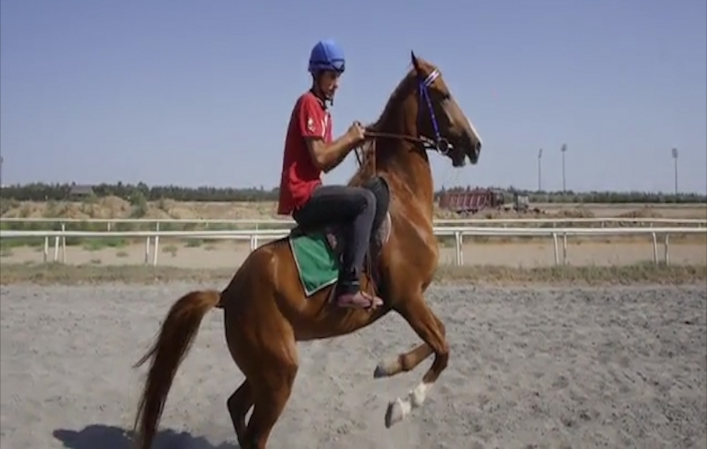 Azerbaijani community of Nagorno-Karabakh region of Azerbaijan releases a video addressing global audience about Karabakh horses