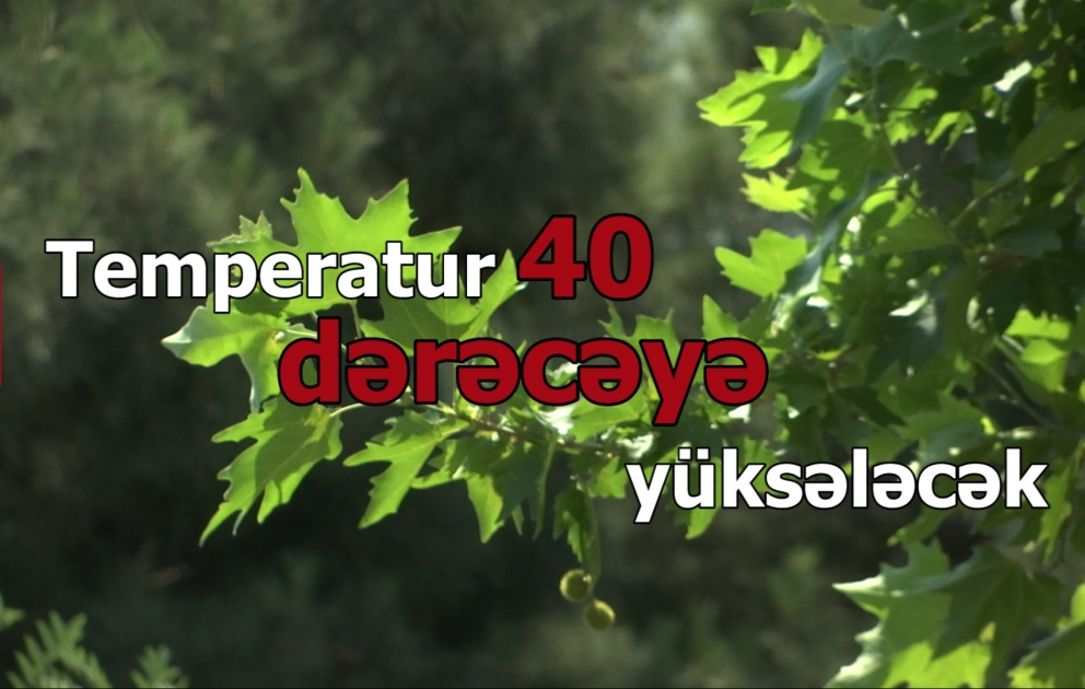 Havanın temperaturu 40 dərəcəyə yüksələcək