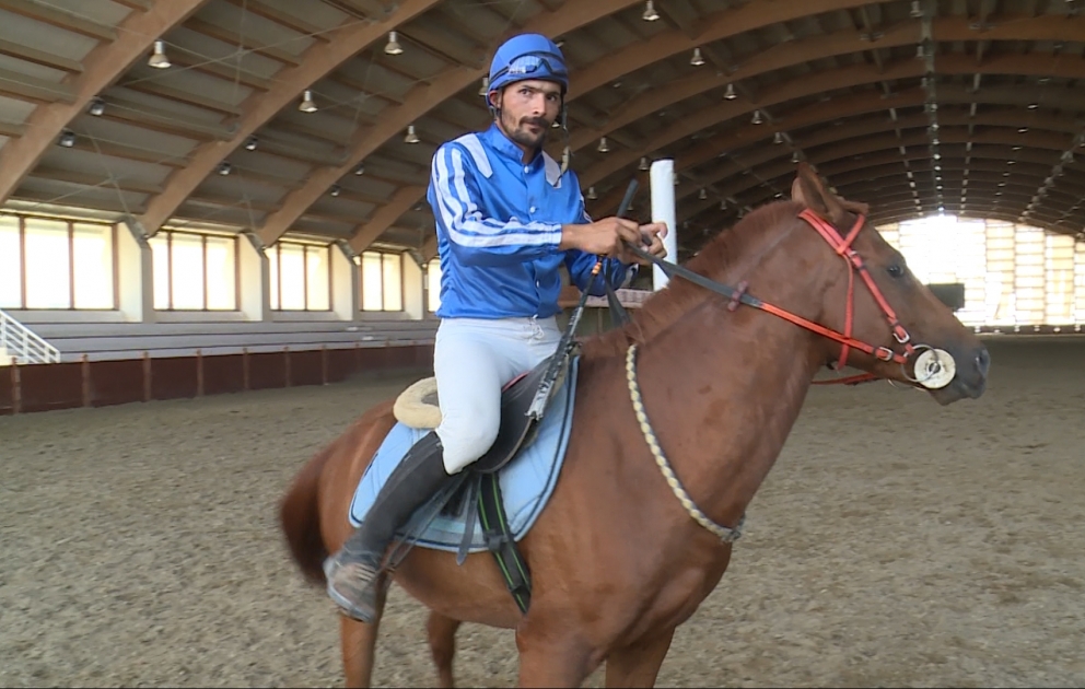 Qarabağ atları əvvəlki tək meydandadır