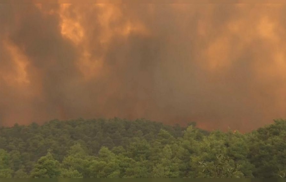 Massive wildfire rages on Greek island of Evia