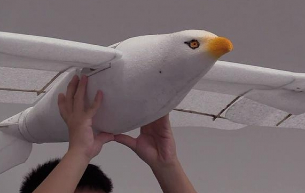 Chinese firm showcases biomorphic robot bird