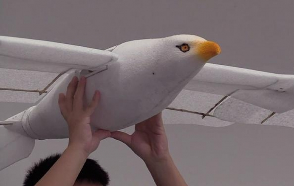 Çində açılan Dünya Robot Konfransında Robot-quş təqdim edildi