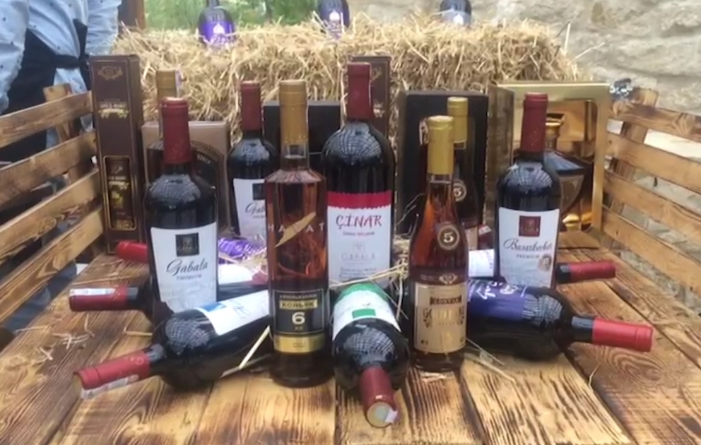Azərbaycanda ilk dəfə Üzüm və Şərab Festivalı keçirilir
