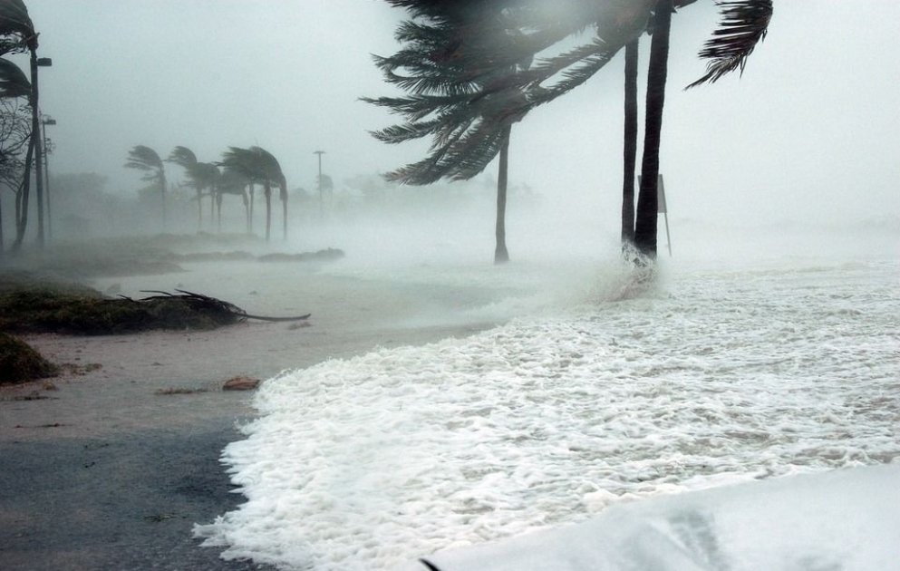 Florida ştatının qubernatoru əhalini bir həftəlik ərzaq ehtiyatı toplamağa çağırıb
