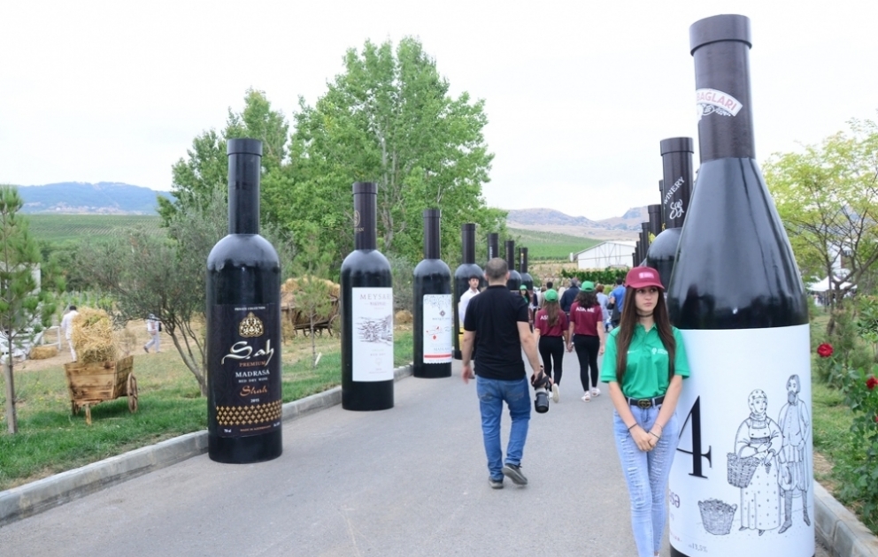Heydər Əliyev Fondunun dəstəyi ilə keçirilən Azərbaycan üzüm və şərab festivalı davam edir