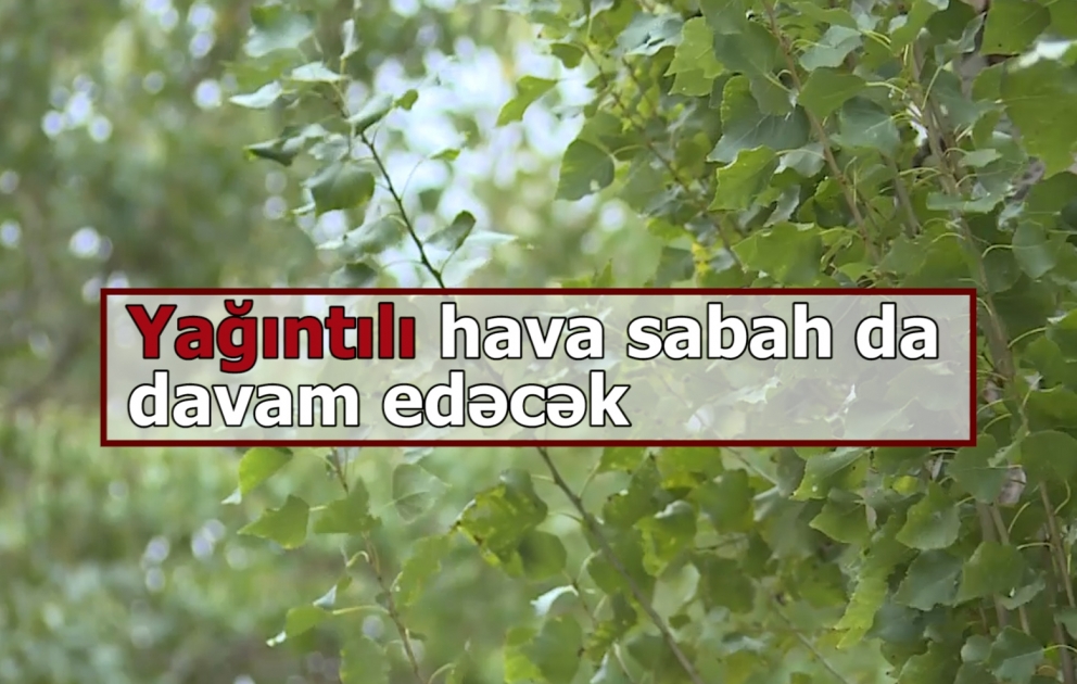 Yağıntılı hava sabah da davam edəcək