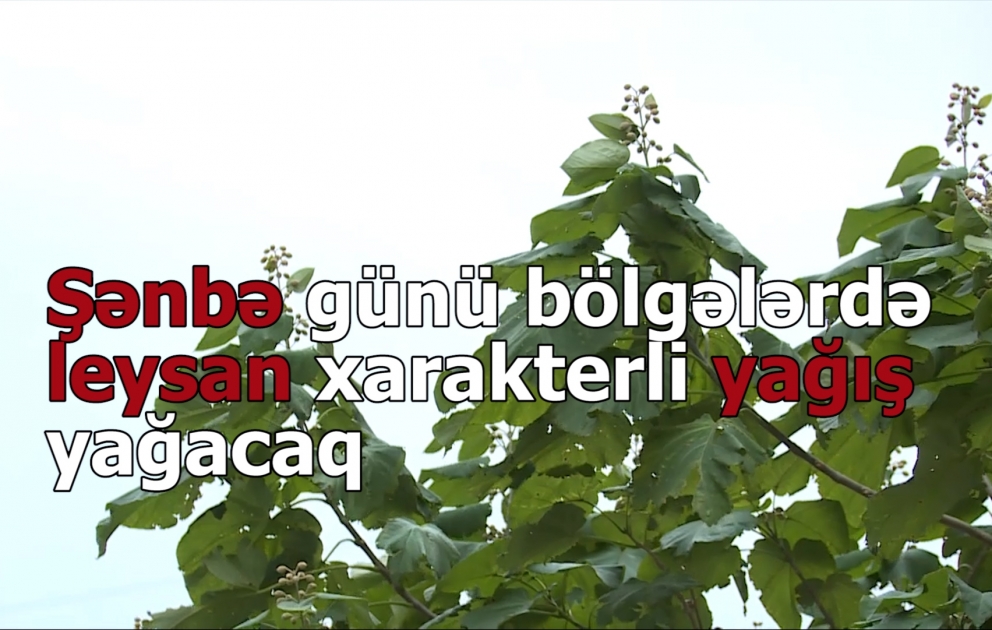 Şənbə günü bölgələrdə yağış yağacaq