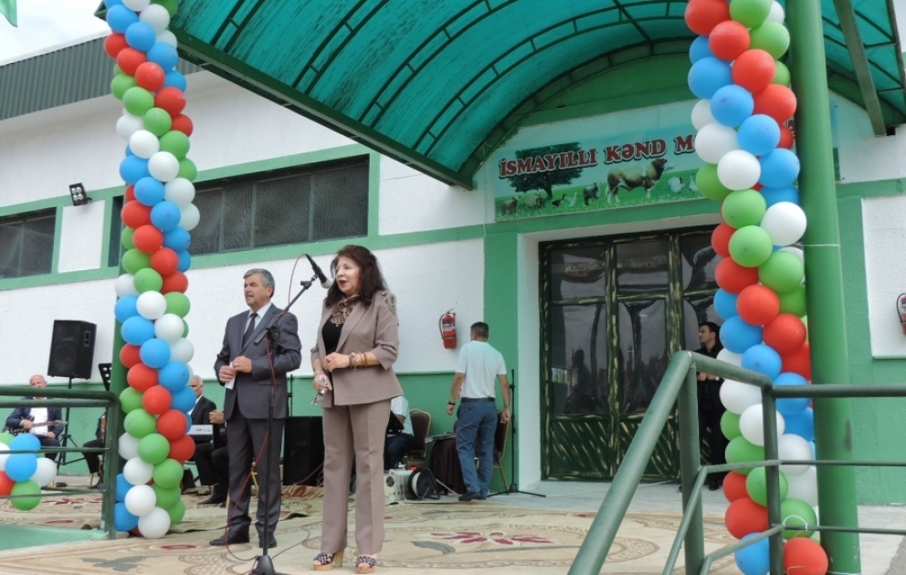 İsmayıllıda Yaşıl Ticarət Mərkəzi açılıb