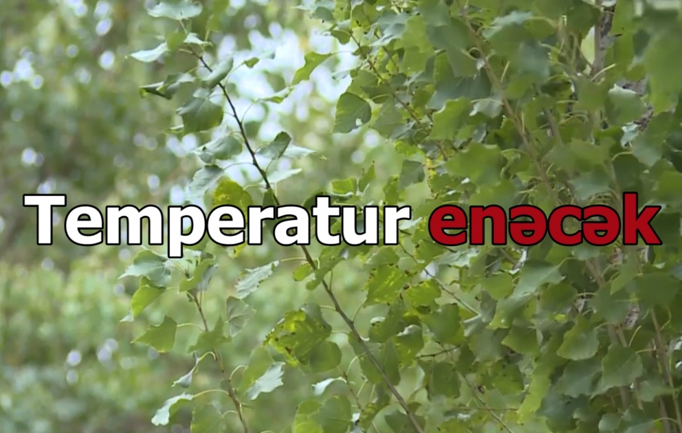 Havanın temperaturu enəcək, yağış yağacaq