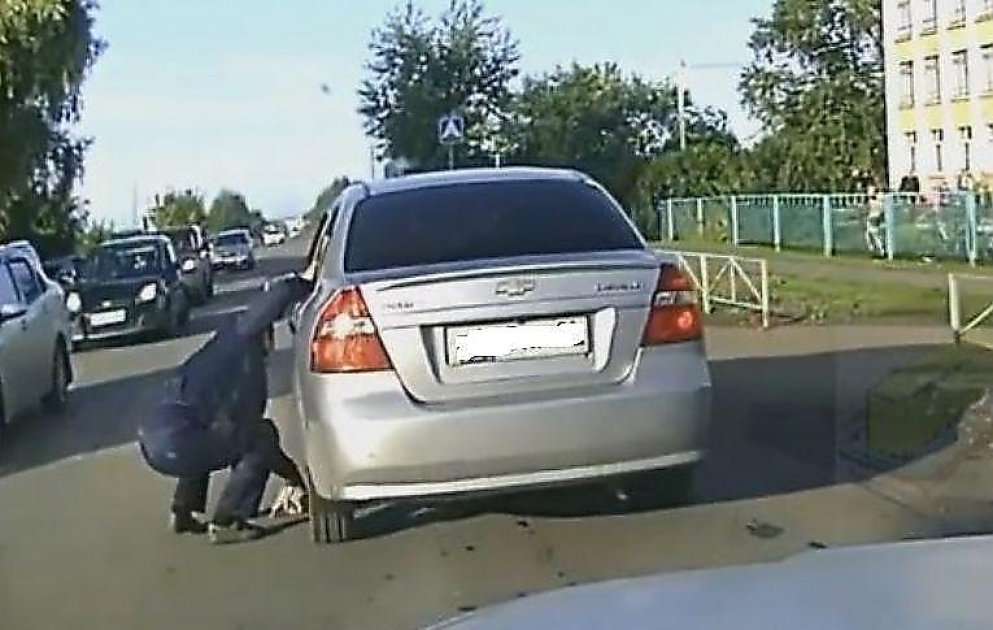 Водитель в самый последний момент вытащил котёнка из-под колёс легковушки