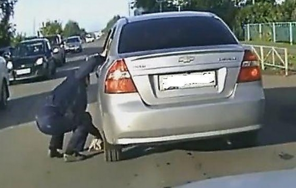 Sürücü pişik balasını avtomobilin təkəri altından son anda xilas etdi