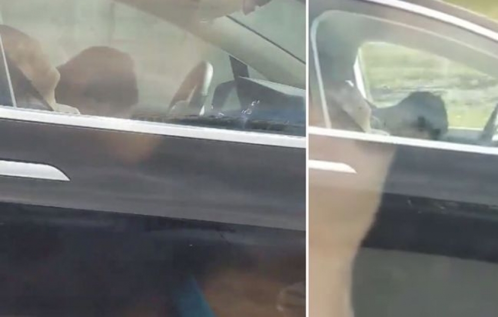 Footage appears to show a Tesla driver and a passenger asleep in front of the wheel