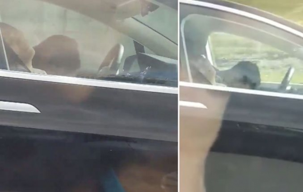 Sürücü yatır, maşın isə gedir