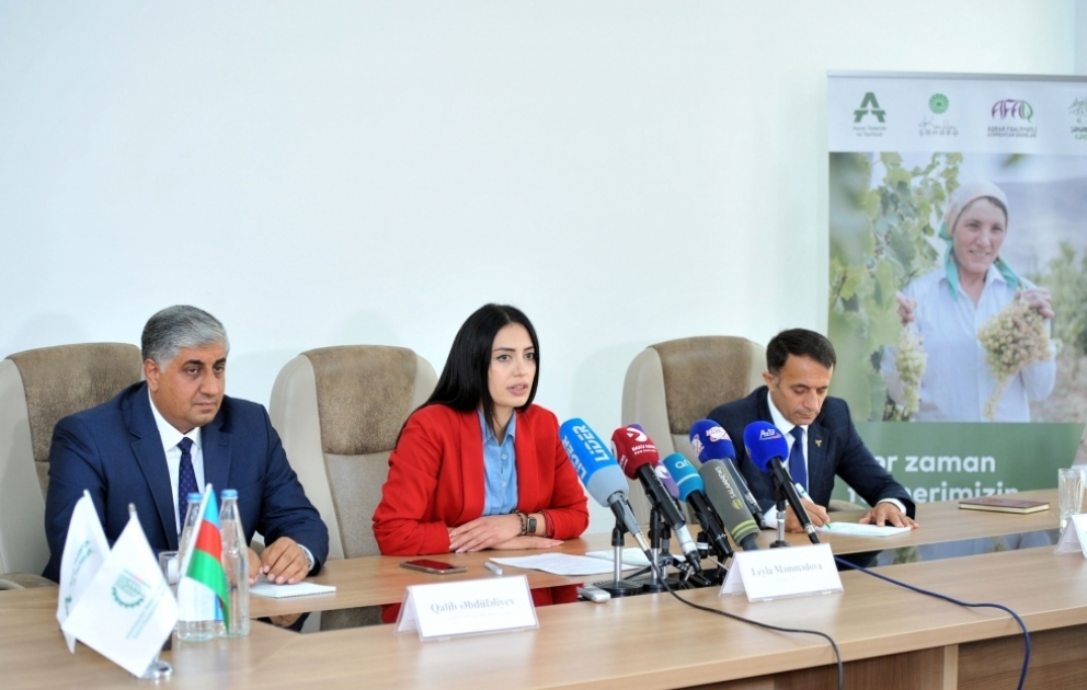 Builki bal yarmarkasında hansı yeniliklər olacaq