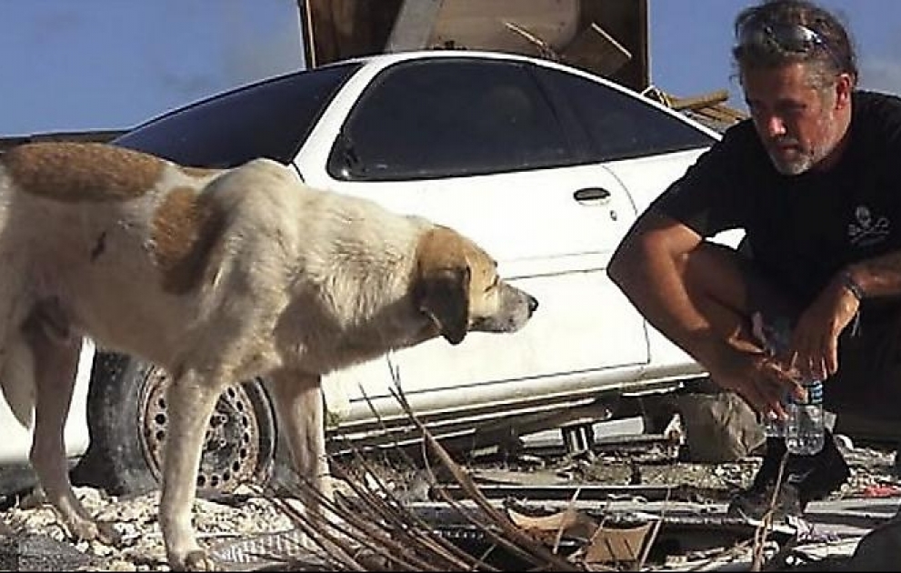 Dog spotted by drone and rescued in Bahamas after Hurricane Dorian - By Douglas Thron