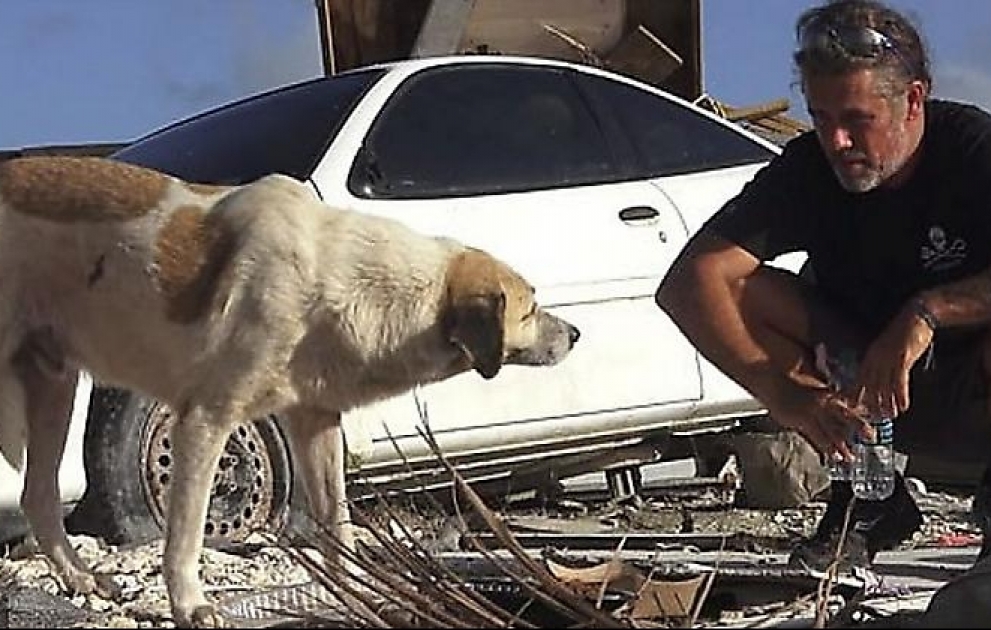 Heyvan müdafiəçisi qasırğanın darmadağın etdiyi Baham adalarında iti xilas etdi