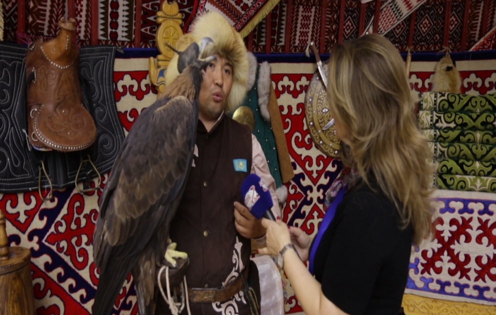 Nadir berqut quşunun təlimindən REPORTAJ