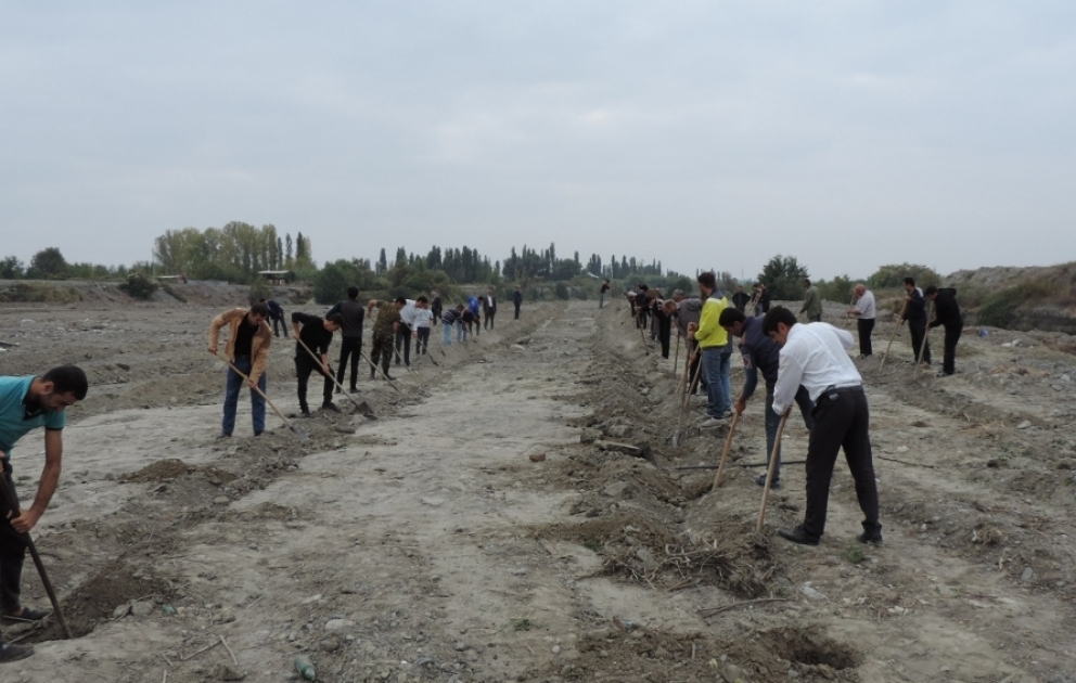 650 min ağac əkək: Ağdaşda ağac əkiləcək ərazilər müəyyənləşdirilib, çalalar qazılır