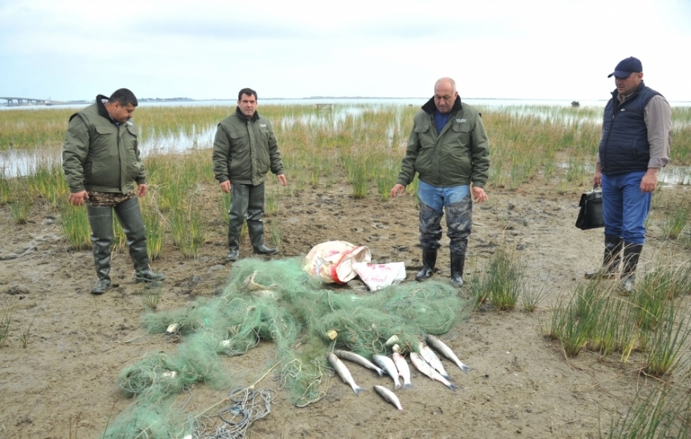 Побережье поселка Зиря очистили от запрещенных орудий рыболовства