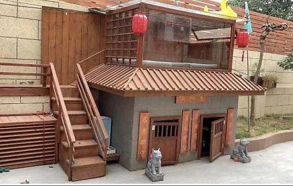 Çinli biznesmen hər cür şəraiti olan köpək villası tikdirdi