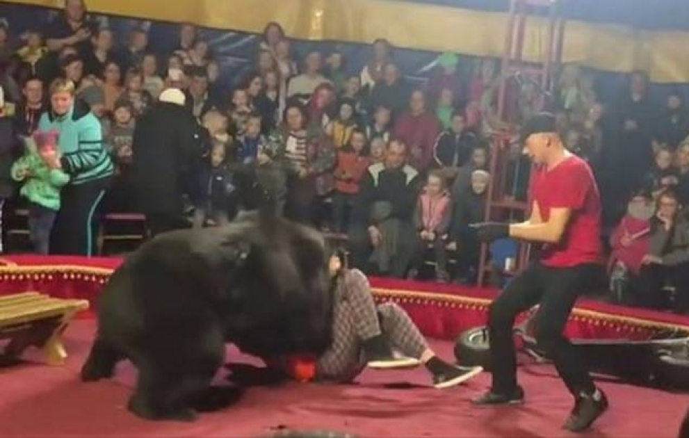 Tamaşa zamanı ayı təlimçiyə hücum etdi