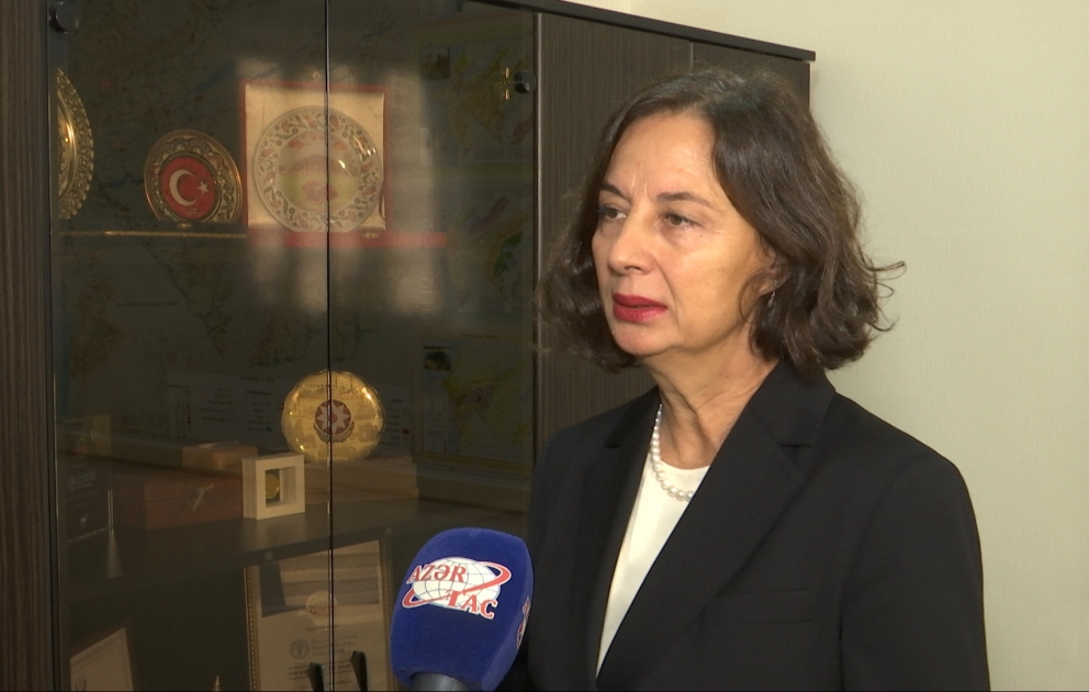 Mələk Çakmak: 650 min ağacın əkilməsi Azərbaycanın karbon qazı tullantılarının 35 faizə qədər azaldılmasına dair öhdəliyinə töhfə verəcək
