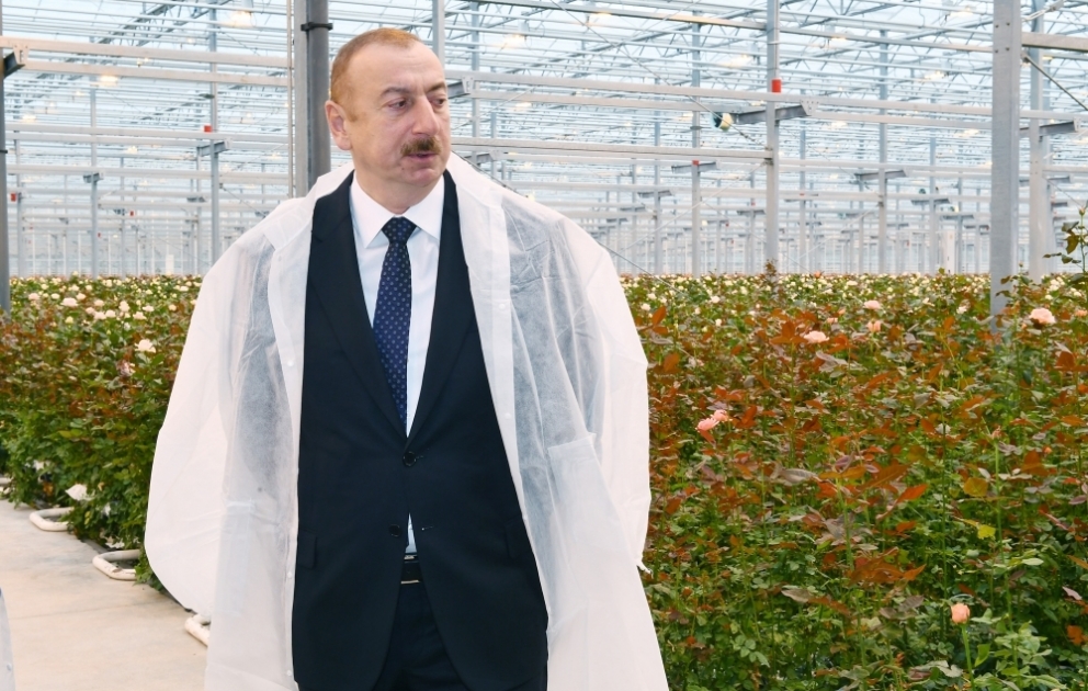 Präsident Ilham Aliyev besucht Blumengewächshaus in Gabala