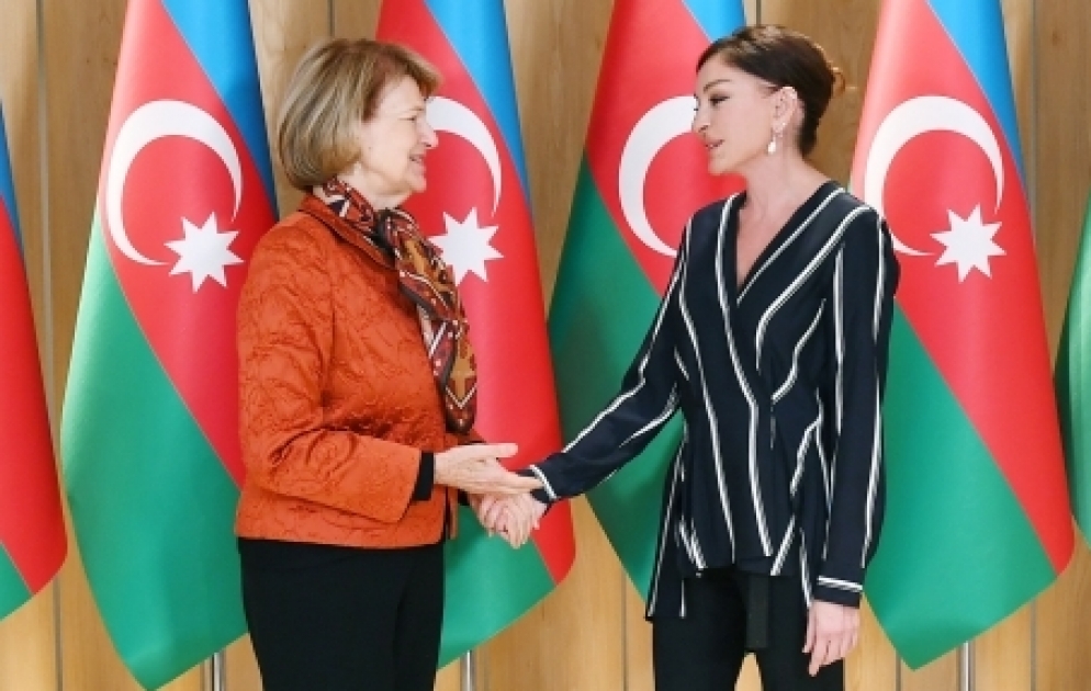 First Vice-President Mehriban Aliyeva met with UK Prime Minister's Trade Envoy to Azerbaijan
